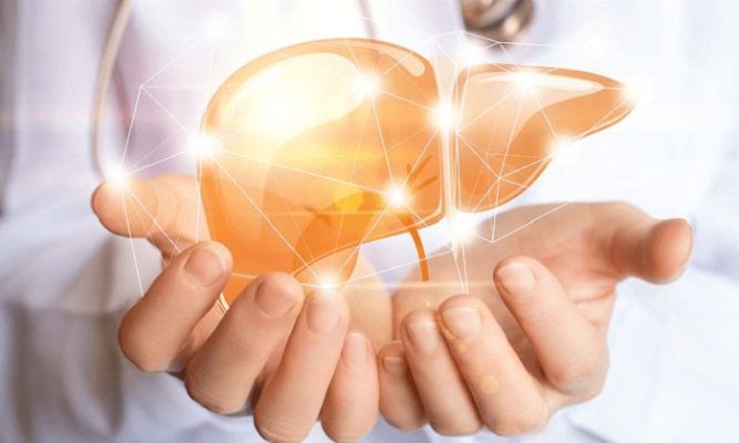 Top loại thuốc giải độc gan tốt nhất năm 2021