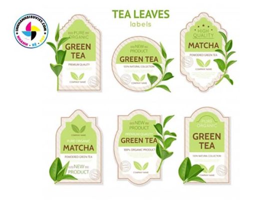 In Nhanh Siêu Việt – đơn vị in tem nhãn uy tín chất lượng
