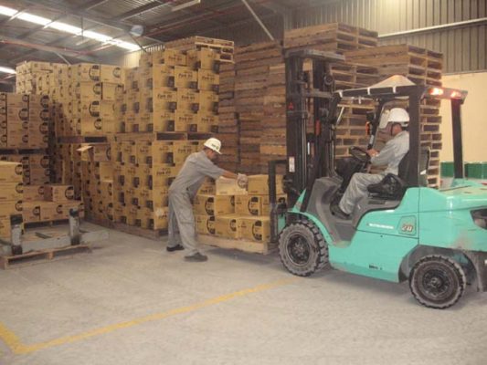Đánh giá dịch vụ chuyển kho xưởng trọn gói Kiến Vàng