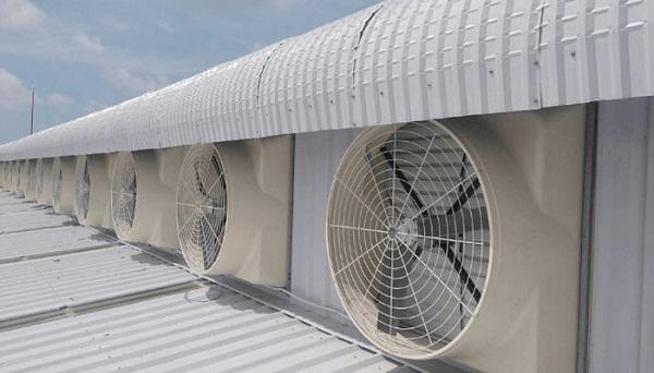 quạt hút công nghiệp 600x600