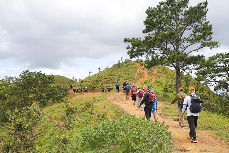 Review tour trekking Tà Năng Phan Dũng do Vietrek Travel tổ chức