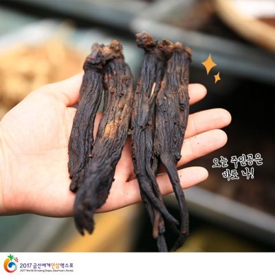 Các loại sâm Hàn Quốc ưa chuộng tốt nhất hiện nay - Giá chi tiết