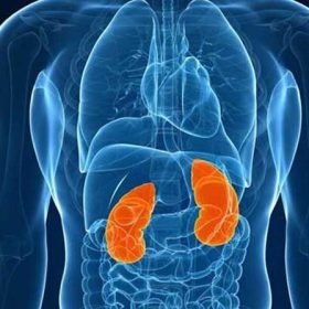 Những loại thuốc trị ung thư thận tốt và hiệu quả nhất