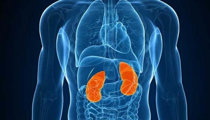 Những loại thuốc trị ung thư thận tốt và hiệu quả nhất