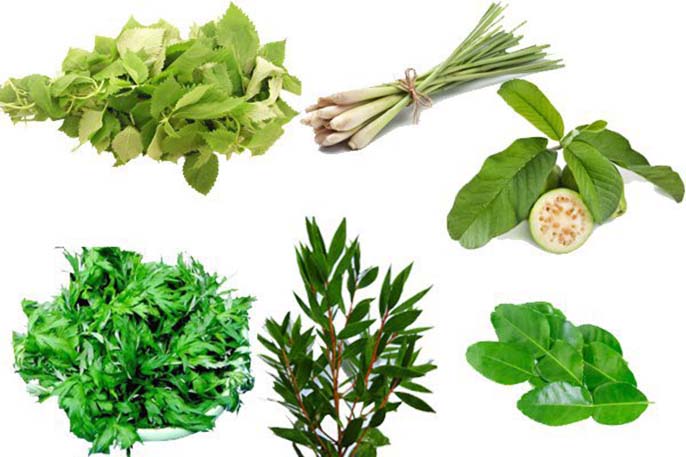 Xông nhiều có tốt không? Tác dụng của việc xông hơi